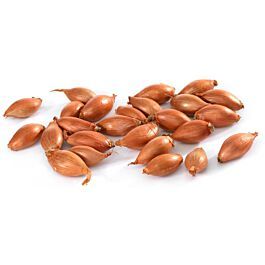 Cibuľa šalotka , 200g