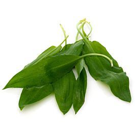 Cesnak  medvedí 100g, Rakúsko