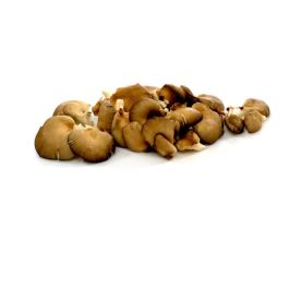 Hliva kralovská cca 100g