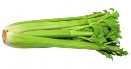 stonkový celer 1kus