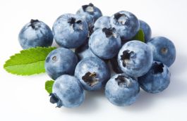 Čučoriedky balené, 125g bio