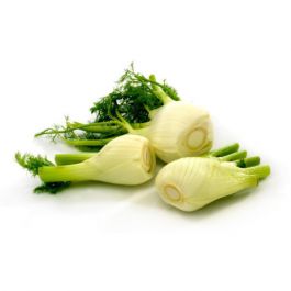 Fenikel, čerstvý, 500g cca