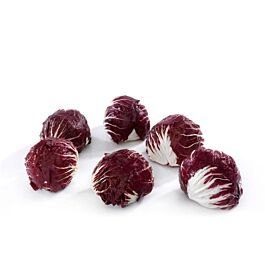 čakanka, Radicchio Choggia 200g